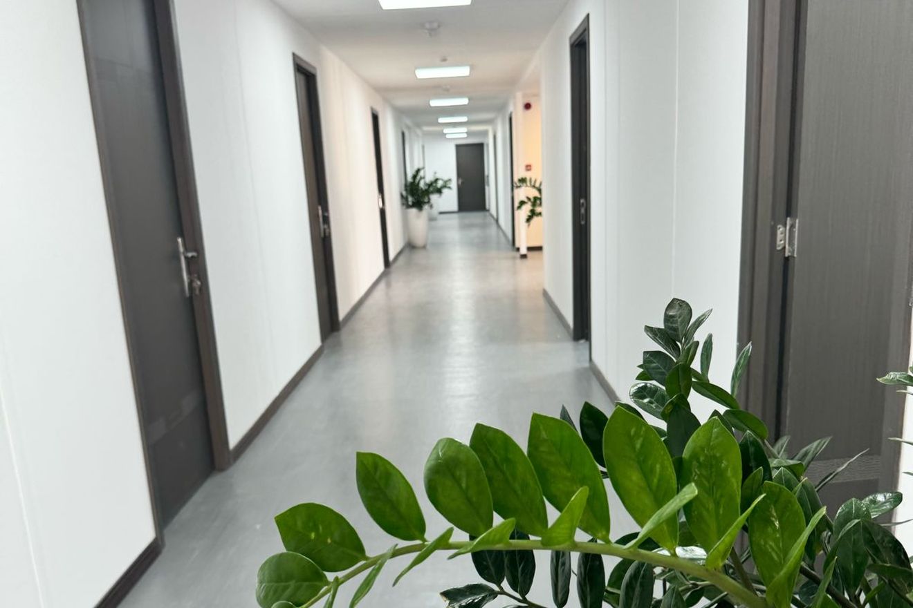 Corridor serving individual offices